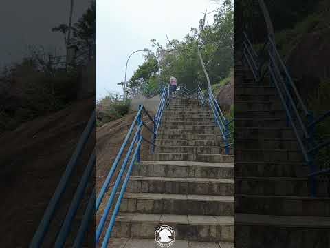 Escadaria Turística em Pedra Bela 🇧🇷 | Interior de SP para Passear 🌿| #Shorts