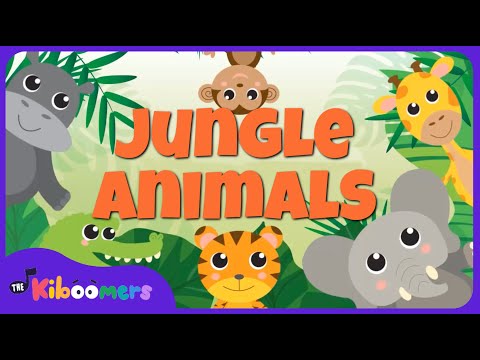 Jungle Animals Song | Kids Songs | Nursery Rhymes | The Kiboomers