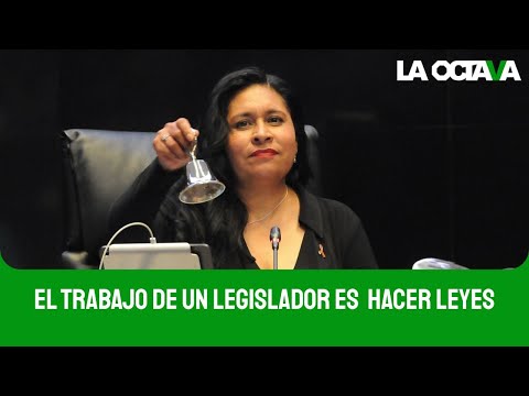 SENADORA de MORENA ACUSA CAMPAÑA de ATAQUES y BOTS