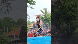 Download lagu BANTENGAN SUPER GALAK 🔥 JARANAN ROGO SAMBOYO PUTRO mp3