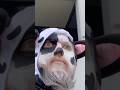 COW PRETENDING TO BE A MAN TomSka Asdfmovie Djhuntsofficial Comedy Comedyshorts Shortvideos
