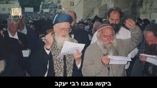 הנס העצום בדרשתו של מרן הבן איש חי - מרן הרב מרדכי אליהו (הרב מרדכי אליהו זצ"ל) - התמונה מוצגת ישירות מתוך אתר האינטרנט יוטיוב. זכויות היוצרים בתמונה שייכות ליוצרה. קישור קרדיט למקור התוכן נמצא בתוך דף הסרטון