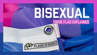 The Hidden Meaning In The Bisexual Pride Flag