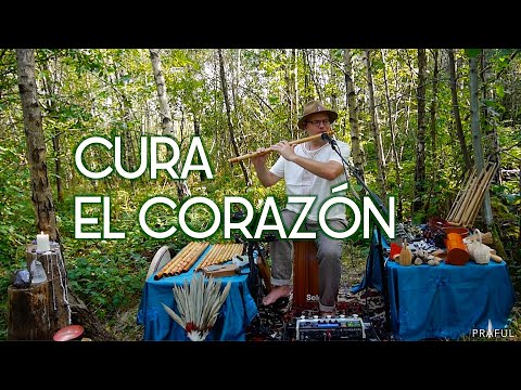 Cura el Corazón (1 hr)  calming forest sound journey - Praful - flute, voice, soprano sax, ukulele