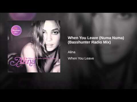 Alina Puscau - Numa Numa (when you leave) instrumental