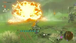 [心得] 王淚，非bug無限刷炸彈花及元素果