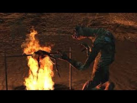 how to get to the vortigaunt cave in half life 2