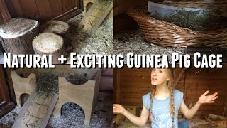 How To Make Your Guinea Pig Cage More Natural + Exciting | Imy