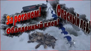 Ссылка
