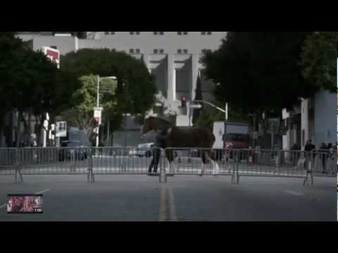 BUDWEISER COMMERCIAL Superbowl 2013