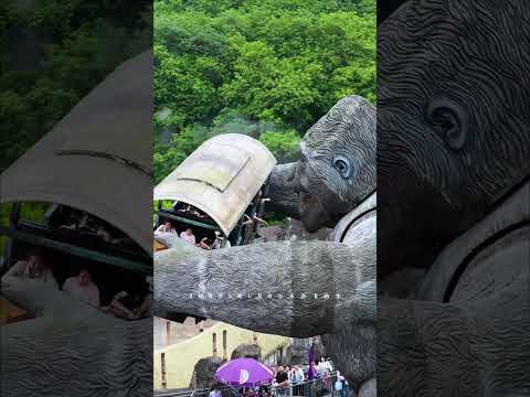 聽說晚上看金剛更刺激 #玩的就是心跳 #驚險刺激 #樂和樂都