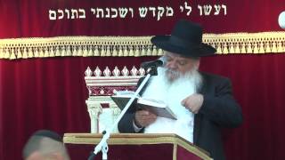 ים מעורב סכנה | קדושת האדם | הרב דניאל זר