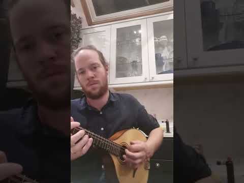 when you only have a Mandolin but you want to play dub #mandolin #jam #reggae #dub #dubreggae