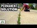 Weed Free Driveways And Sidewalks The Ultimate Solution