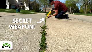 Weed-Free Driveways and Sidewalks: The Ultimate Solution!