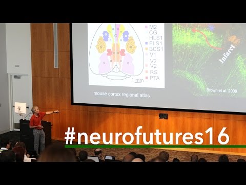 NeuroFutures 2016 | Tim Murphy