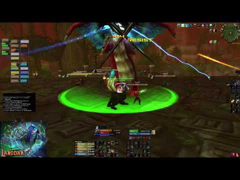 Feral Druid Tank vs Hakkar (Zul Gurub Official Classic lvl 60)