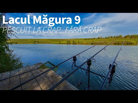 Pescuit la Crap...fără Crap - Lacul Măgura 9