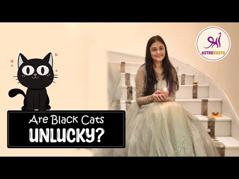 Are Black Cats REALLY Bad Luck? Does a black cat crossing your path brings Bad Luck?