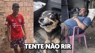 Whatsapp Memes Br - 36 Minutos de Vídeos Engraçados do Whatsapp 2026! Tente Não Rir #30