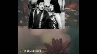 Download lagu Nerukku Ner Nindru Paarungal Podhum || Edhirigal Jakkirathai mp3 Download lagu Nerukku Ner Nindru Paarungal Podhum || Edhirigal Jakkirathai mp3