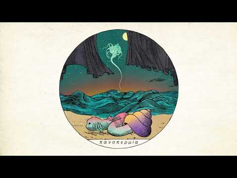 Siip - πανσπερμία