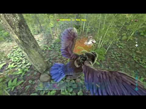 Alpha Raptor (level 150) Vs Argy ARK Survival Evolved