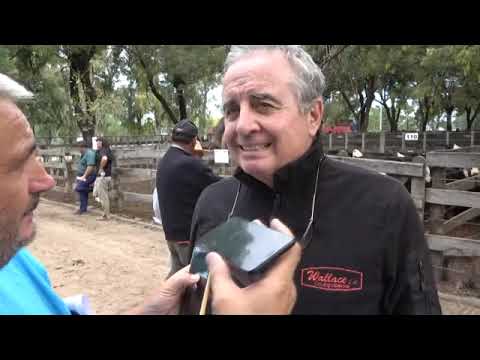 NOTA JUAN WALLACE Y GUSTAVO POUYANNE POST REMATE SIN TITULOS