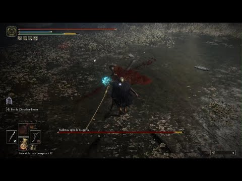 Malenia NG+3 Mode bourrin