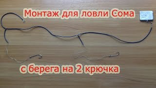 Как насаживать живца для ловли сома на два крючка