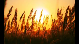 The Byrds - you and me [instrumental]