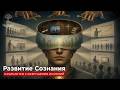 Развитие Сознания | Освобождение от Социального рабства