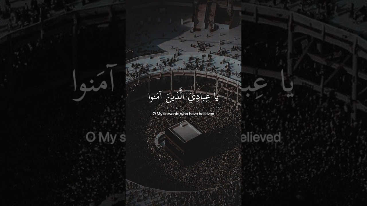 "كل نفس ذائقة الموت".. تلاوة تهز القلوب للقارئ عبد الرحمن مسعد ✨📖