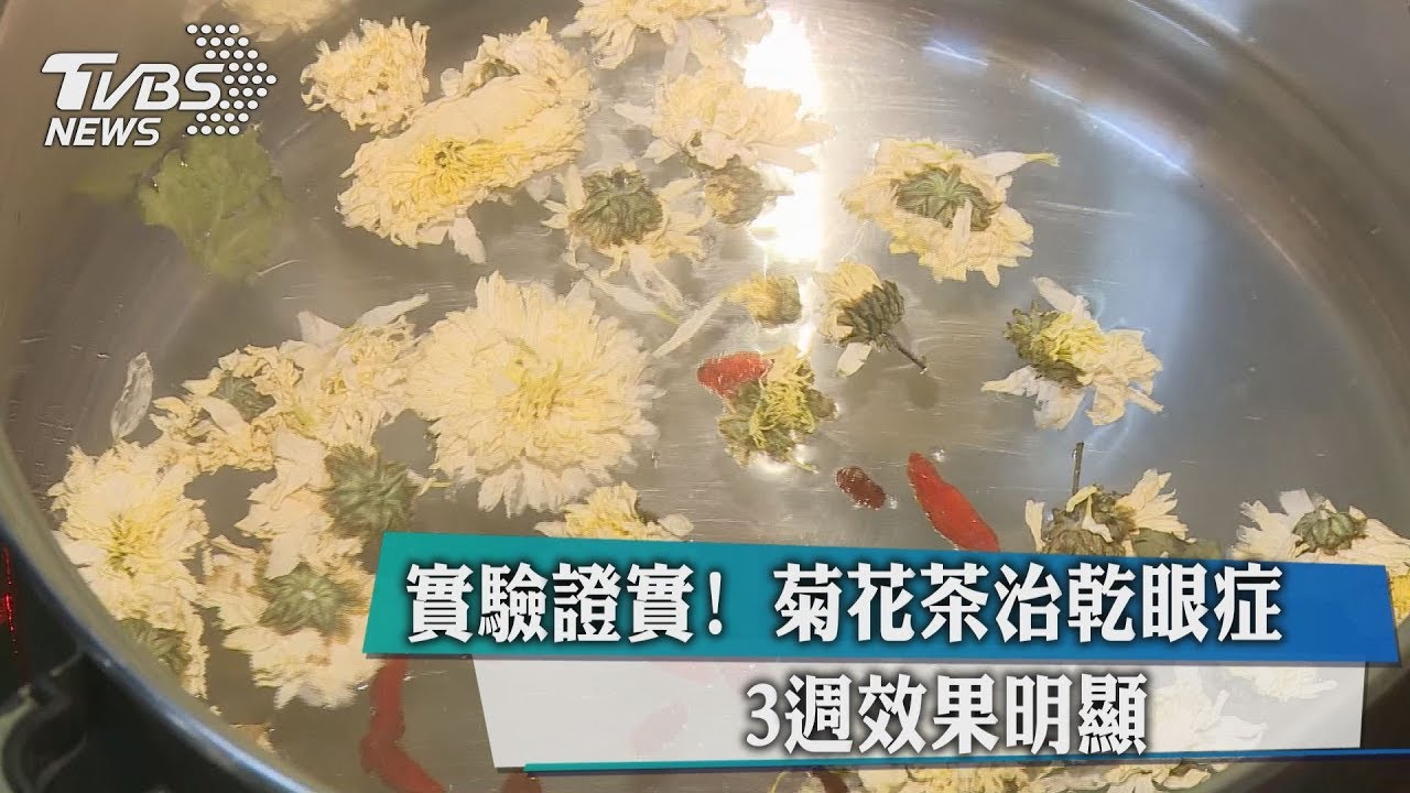 實驗證實!菊花茶治乾眼症 3週效果明顯