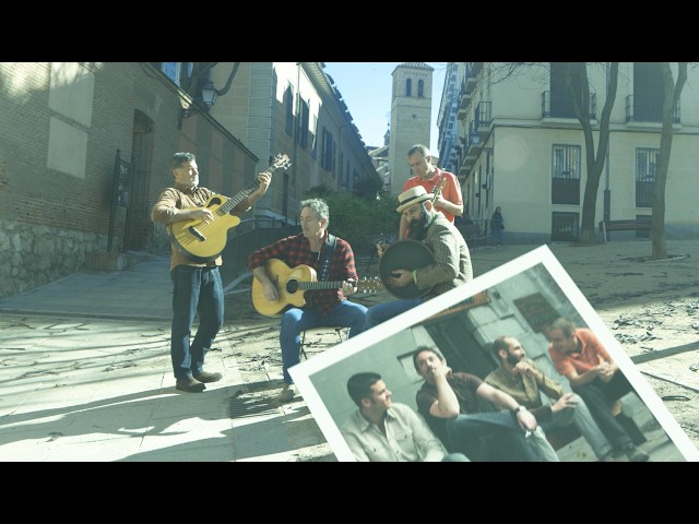  Still at the Music - Track Dogs