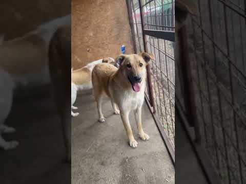 Bosk 3 05/2025 - Hope for Future e.V.