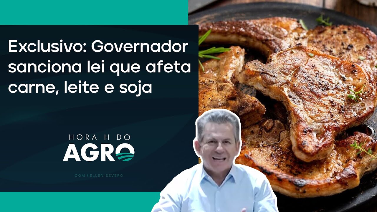 Mauro Mendes: "Empresas não estão respeitando os limites da lei brasileira | HORA H DO AGRO