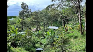 One Rai of Land in a Special Natural Location for Sale In Pa Klok
