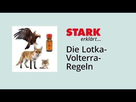 Population dynamics in predator-prey systems: The Lotka-Volterra rules | STARK explains