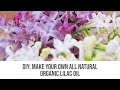 DIY: Make Your Own All Natural Organic Lilac Oil