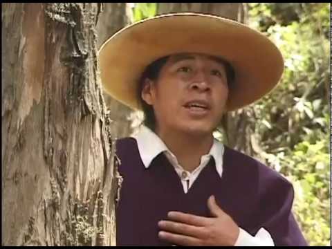 Otavalo, Ecuador:  San Juanitos of Otavalo, a mini Otavalo opera