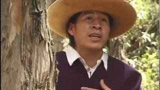 Otavalo, Ecuador:  San Juanitos of Otavalo, a mini Otavalo opera