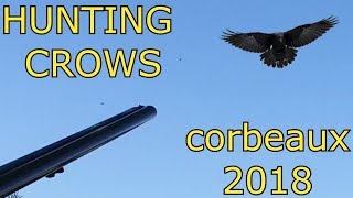 CROW SHOOTING ou TIR DE CORBEAUX ET CORNEILLES 2018