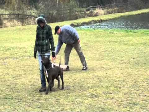 Mef  Babin 21-22.10.11