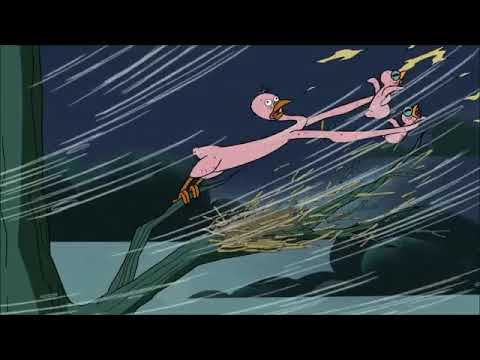 Jordan's Sound Effects Compilation No.29:Sound Ideas, BIRD, BLUEBIRD - BLUEBIRD CHIRPS, ANIMAL