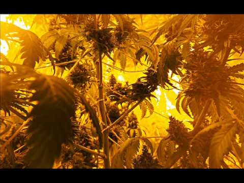 Pawko feat.Trilla, Profus - Mamy To Jaramy (Prod. Profus)