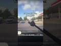 Blud Got His License From Gas Station Fypシ Memes Cars