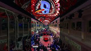 Msc Euribia ❤️ Galleria