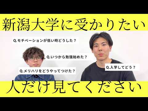 YouTube動画