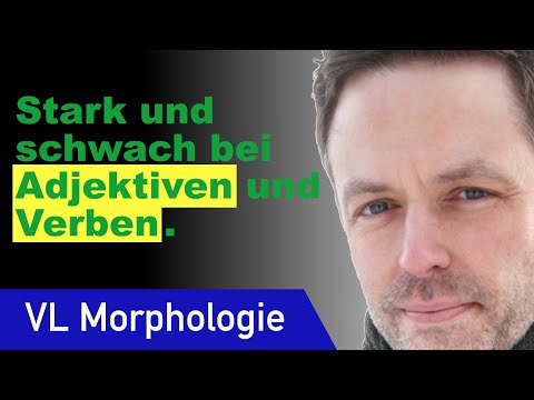 Inflection of adjectives and verbs | Morphology 7